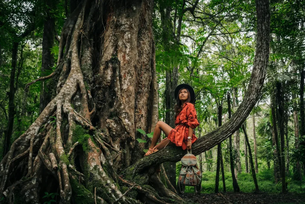 Mujer sentada en el árbol con raíces enormes en el bosque, mirando hacia arriba - simboliza enraizamiento, introspección y esperanza de transformación, raíces invisibles de la culpa